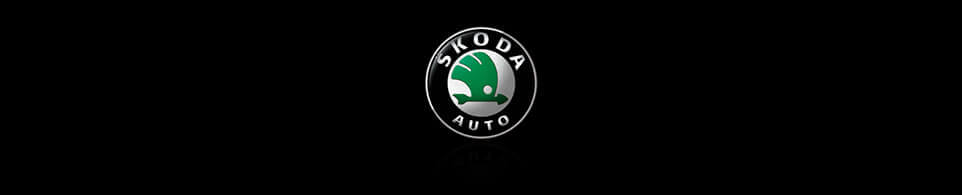 Skoda Chip Tuning